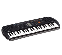 Casio Mini Keyboard, SA-77 44 ,Black with Adaptor, Which are a great fit for Kids