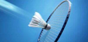 Read more about the article Best 6 Badminton Shuttlecock in Affordable Price